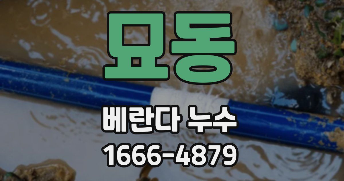 묘동 베란다 누수