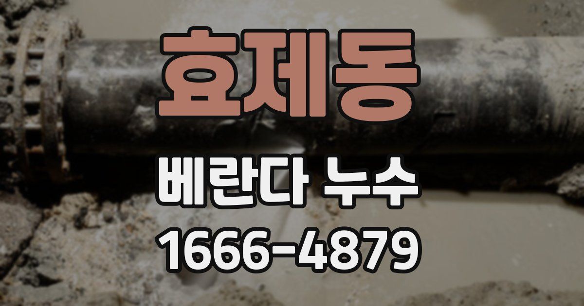 효제동 베란다 누수