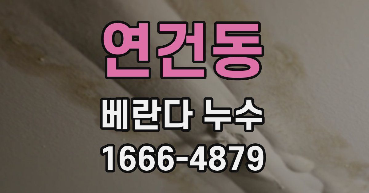 연건동 베란다 누수