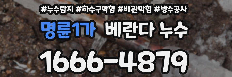 명륜1가 베란다 누수