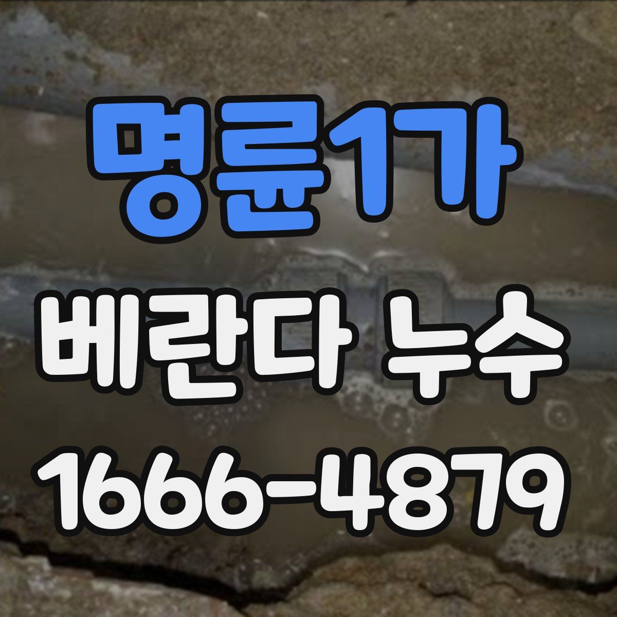 명륜1가 베란다 누수