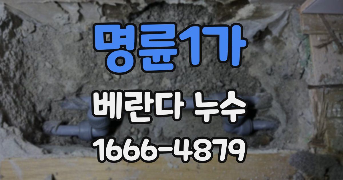 명륜1가 베란다 누수