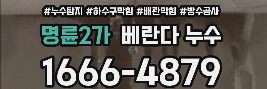 명륜2가 베란다 누수
