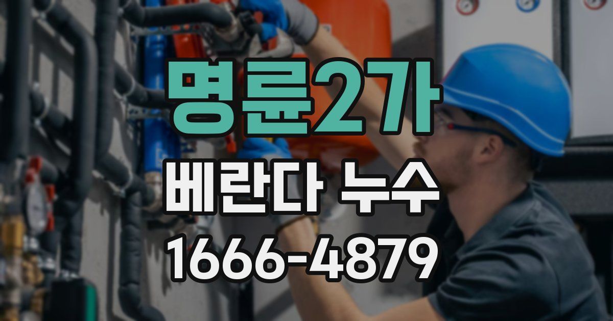 명륜2가 베란다 누수