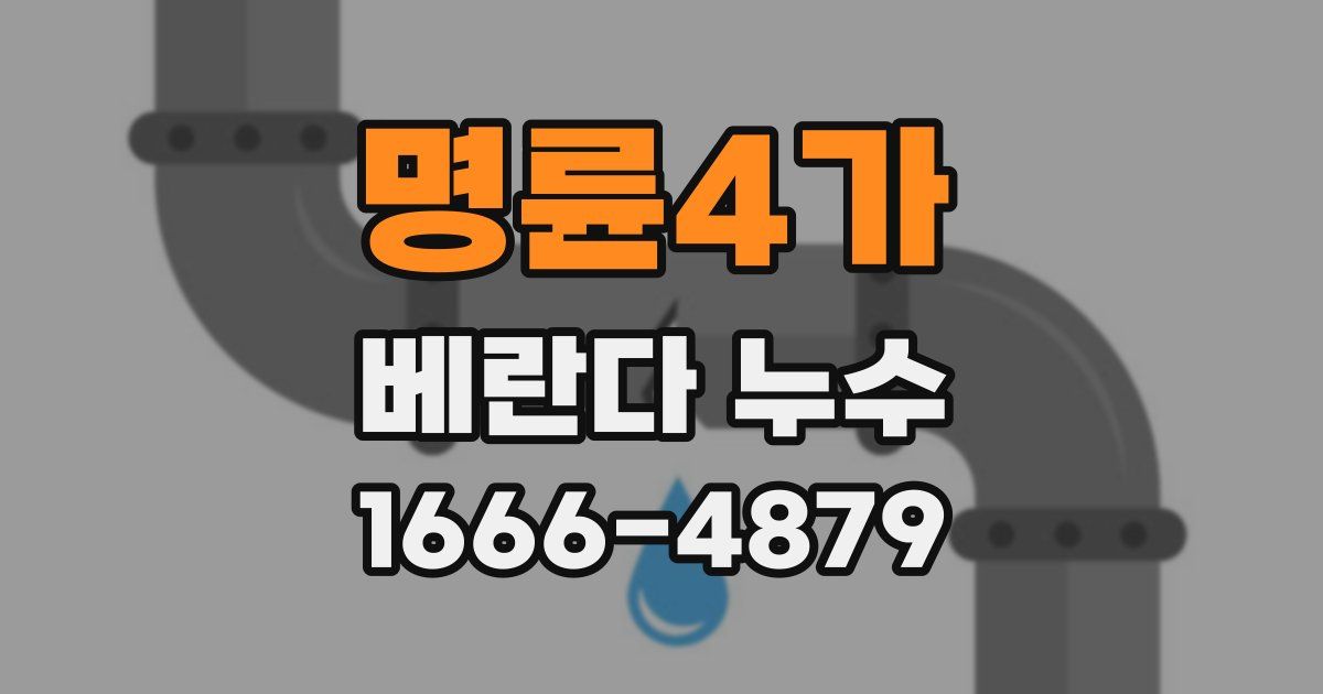 명륜4가 베란다 누수