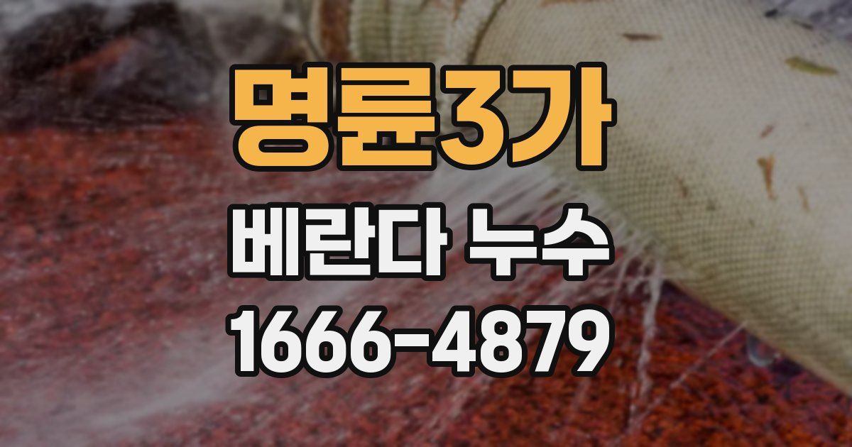 명륜3가 베란다 누수