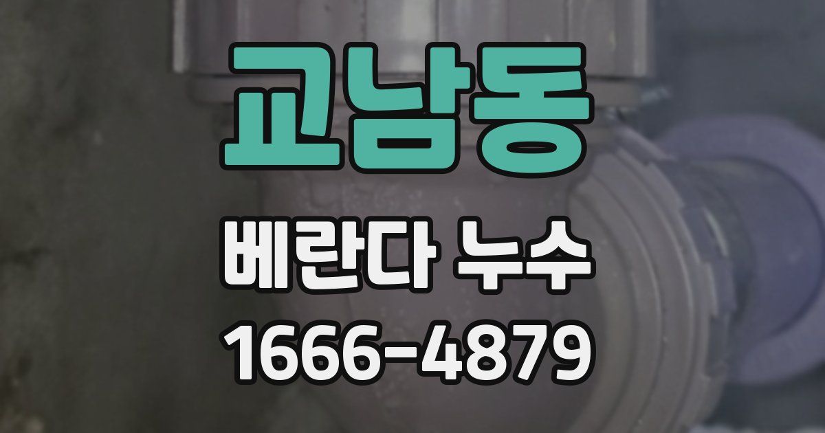 교남동 베란다 누수