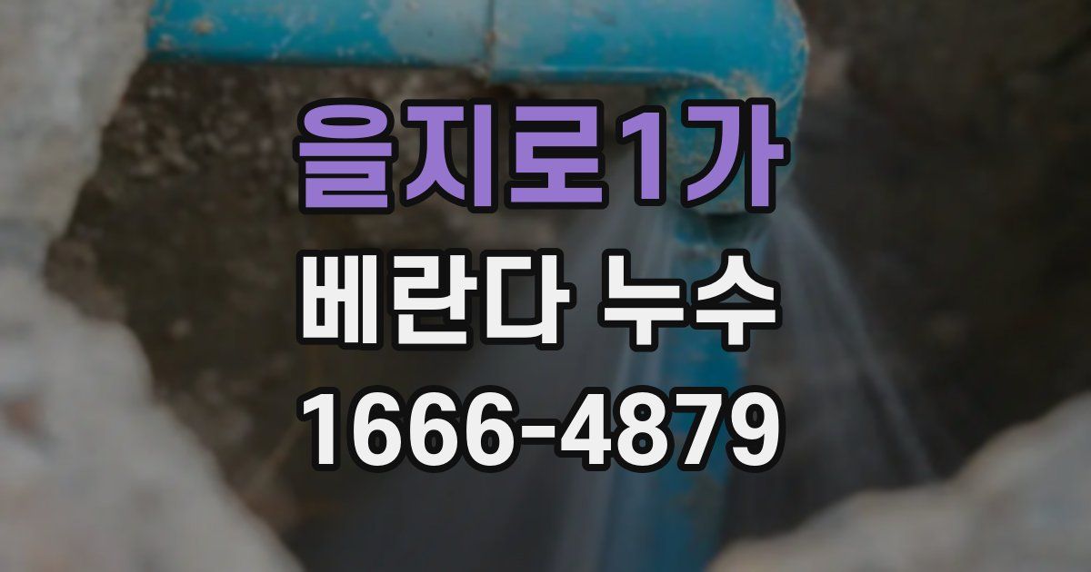 을지로1가 베란다 누수