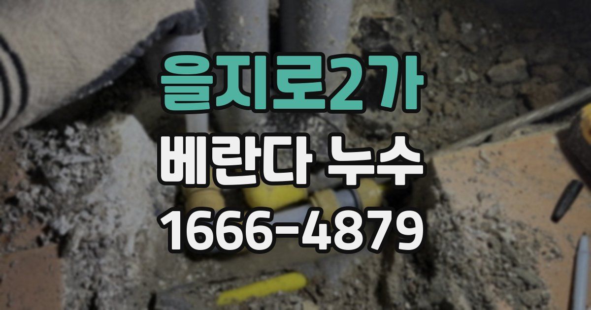 을지로2가 베란다 누수