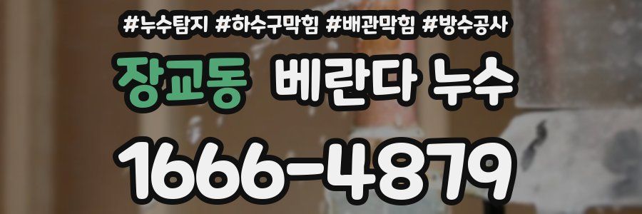 장교동 베란다 누수