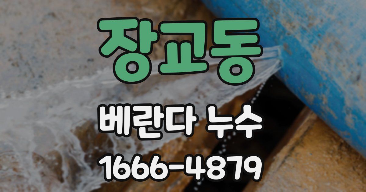 장교동 베란다 누수