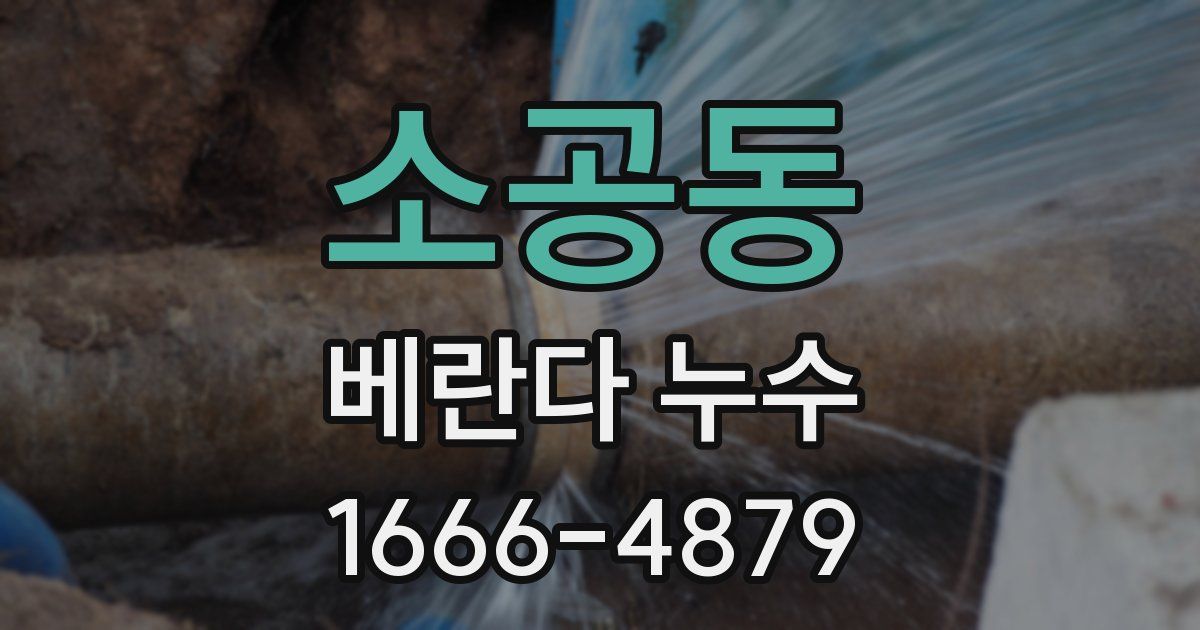 소공동 베란다 누수