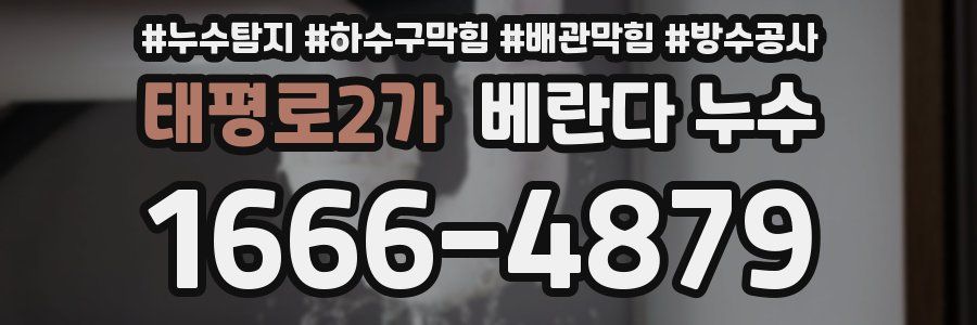 태평로2가 베란다 누수