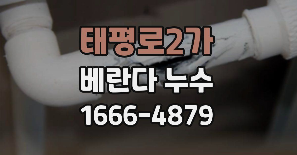 태평로2가 베란다 누수