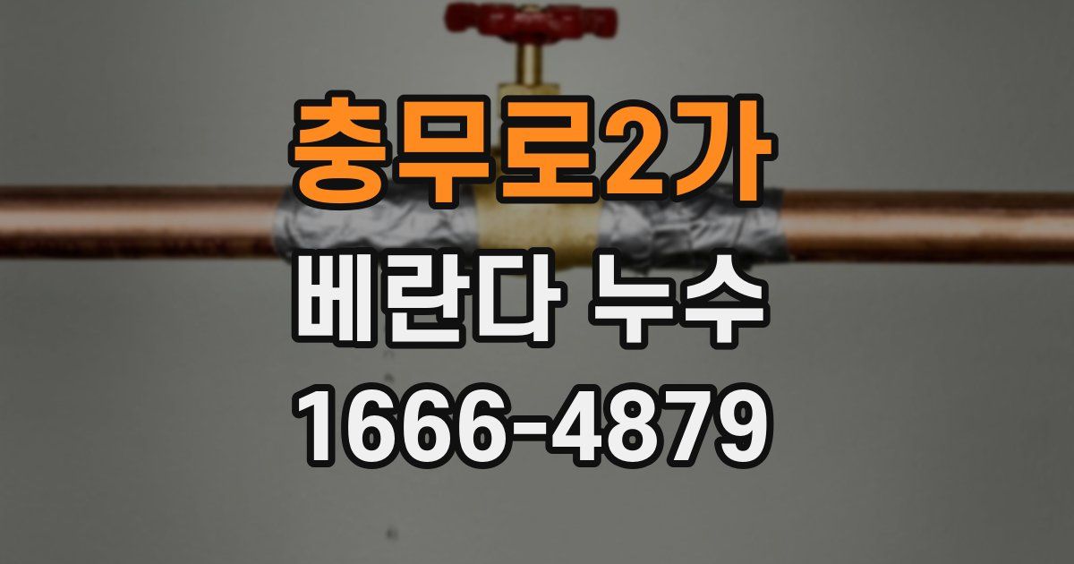 충무로2가 베란다 누수