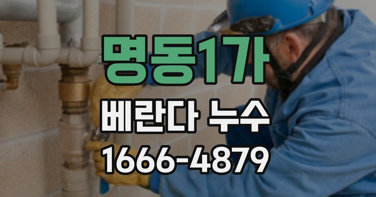명동1가 베란다 누수