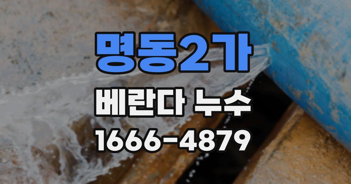 명동2가 베란다 누수