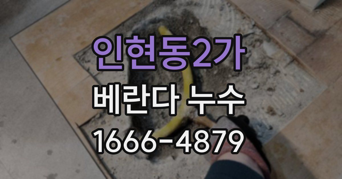 인현동2가 베란다 누수
