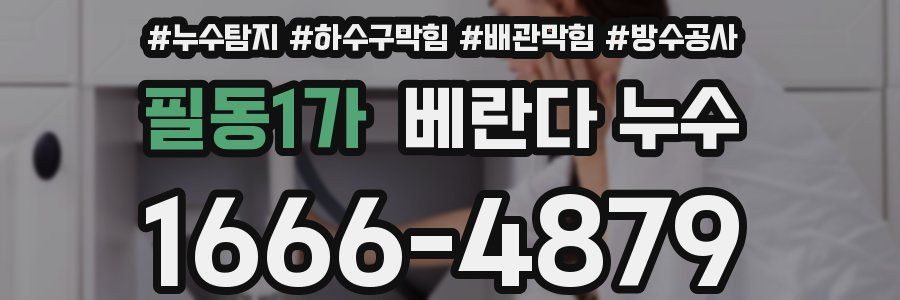 필동1가 베란다 누수