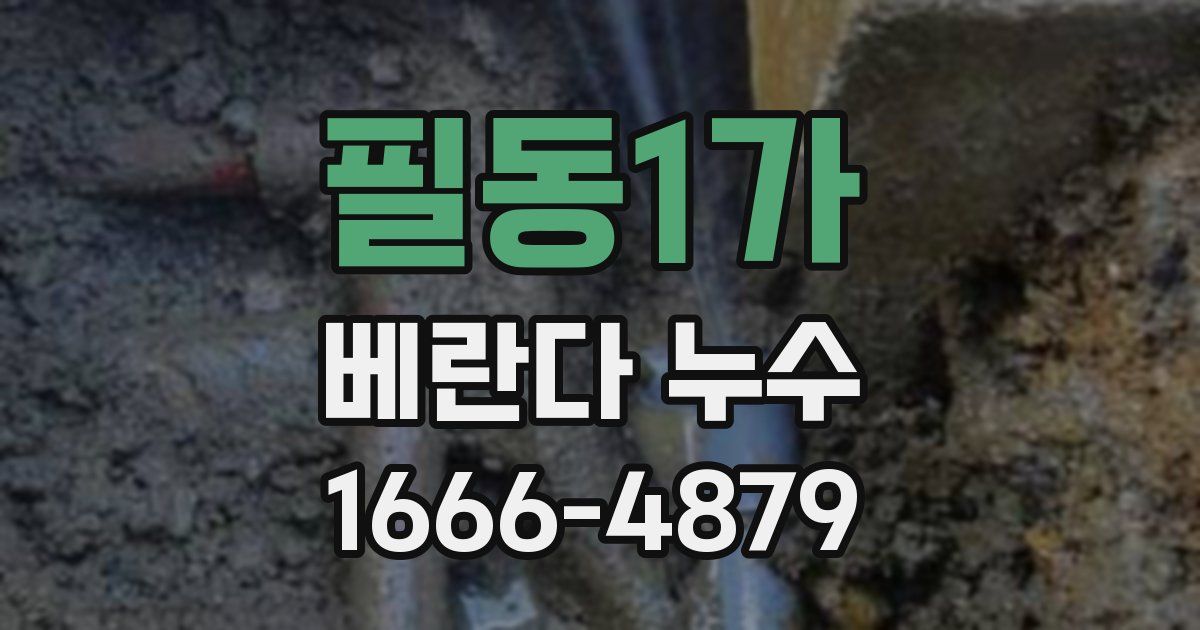 필동1가 베란다 누수