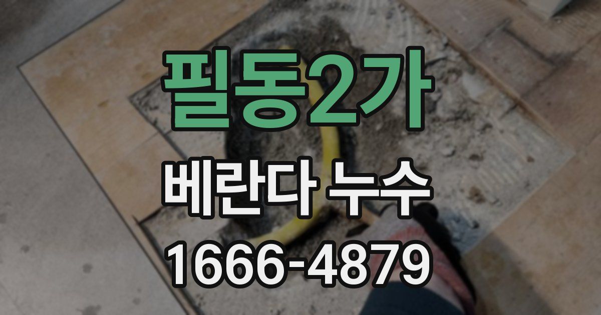 필동2가 베란다 누수