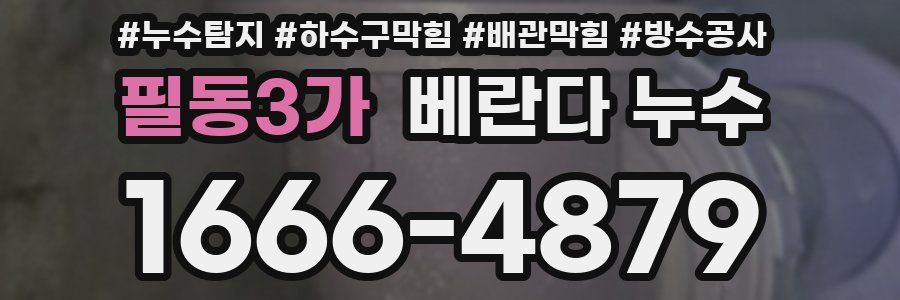 필동3가 베란다 누수