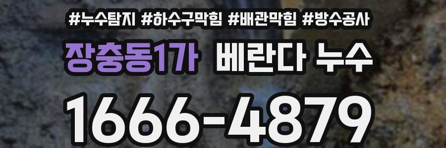 장충동1가 베란다 누수