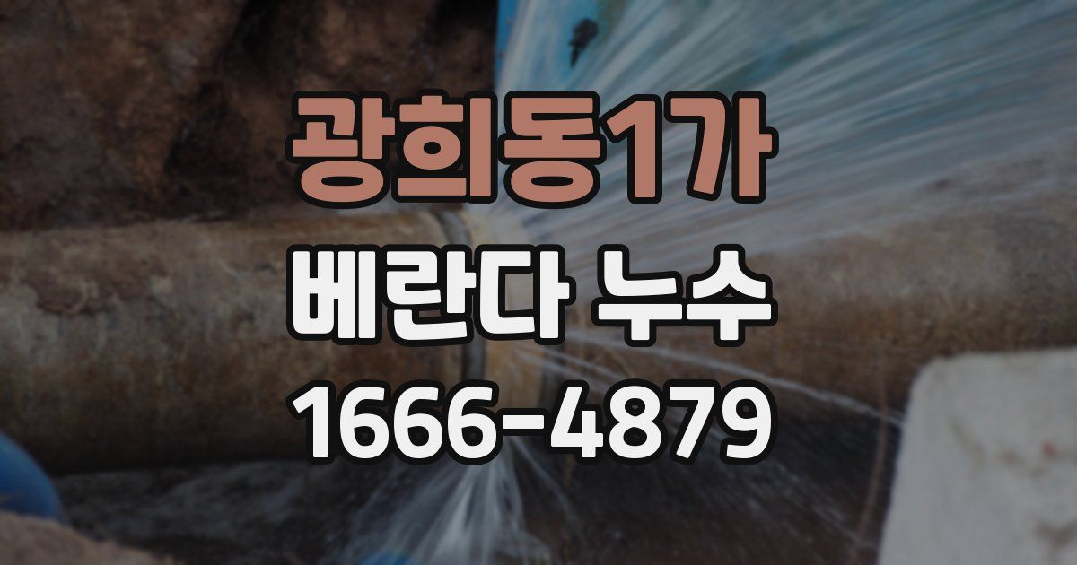 광희동1가 베란다 누수
