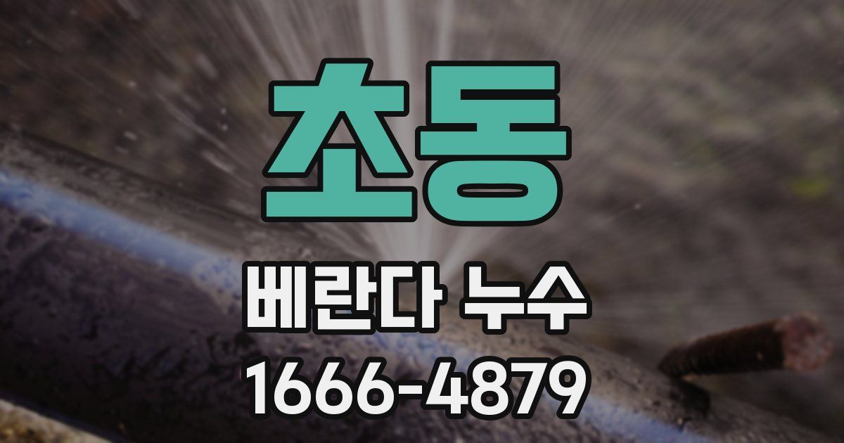 초동 베란다 누수