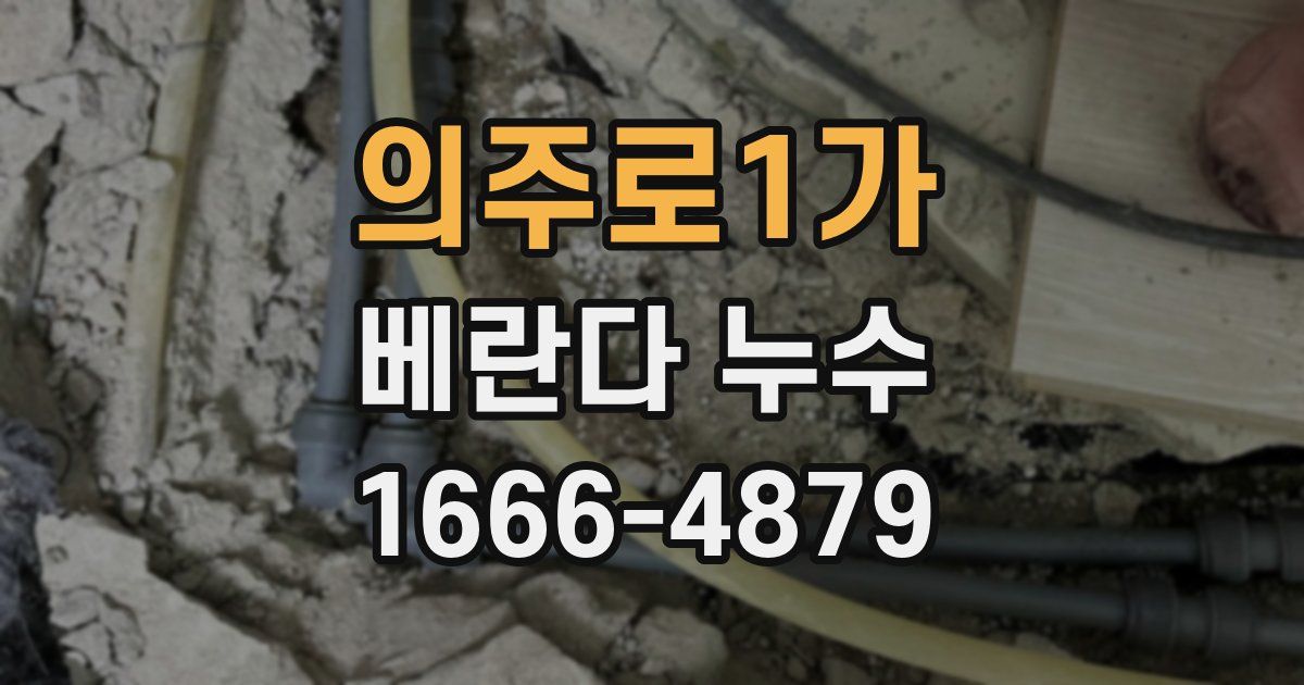 의주로1가 베란다 누수