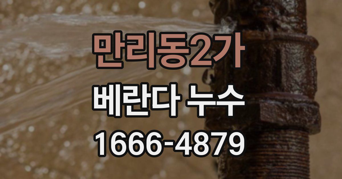 만리동2가 베란다 누수