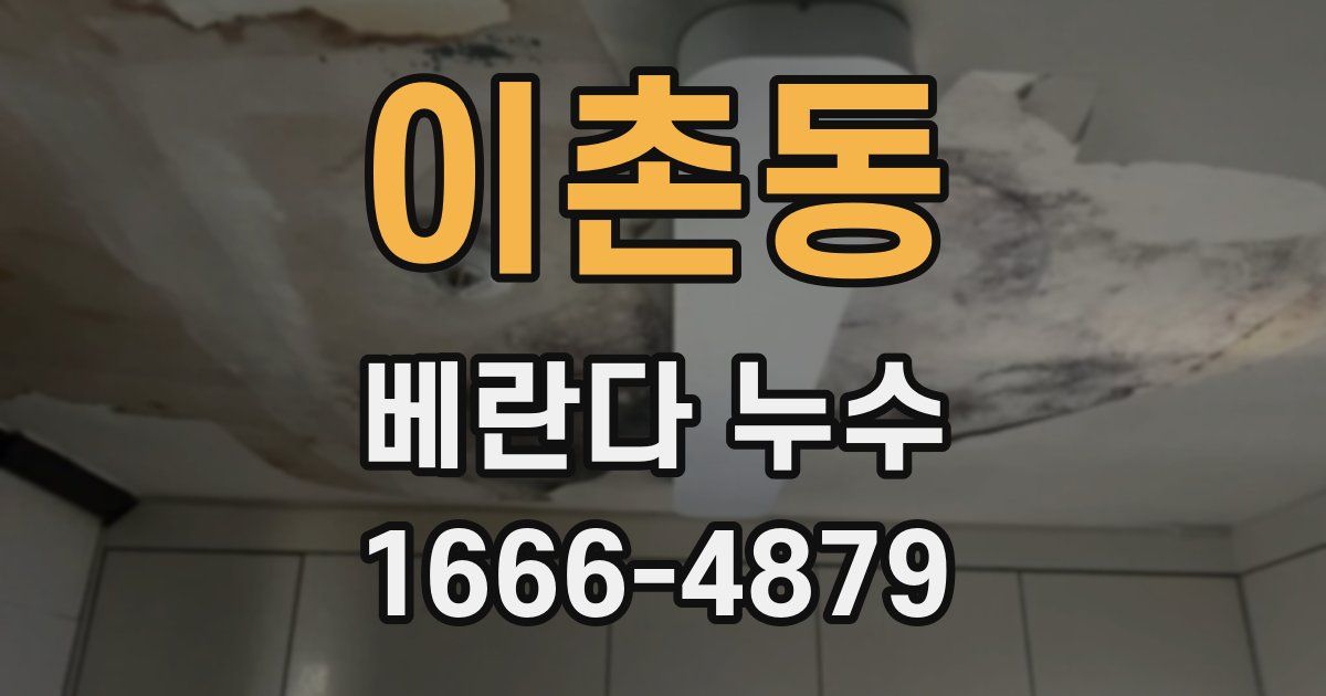 이촌동 베란다 누수