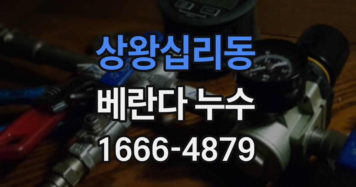 상왕십리동 베란다 누수
