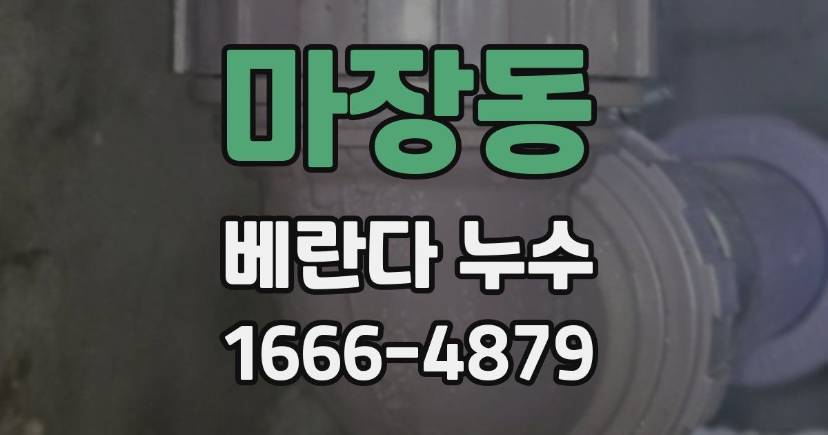 마장동 베란다 누수