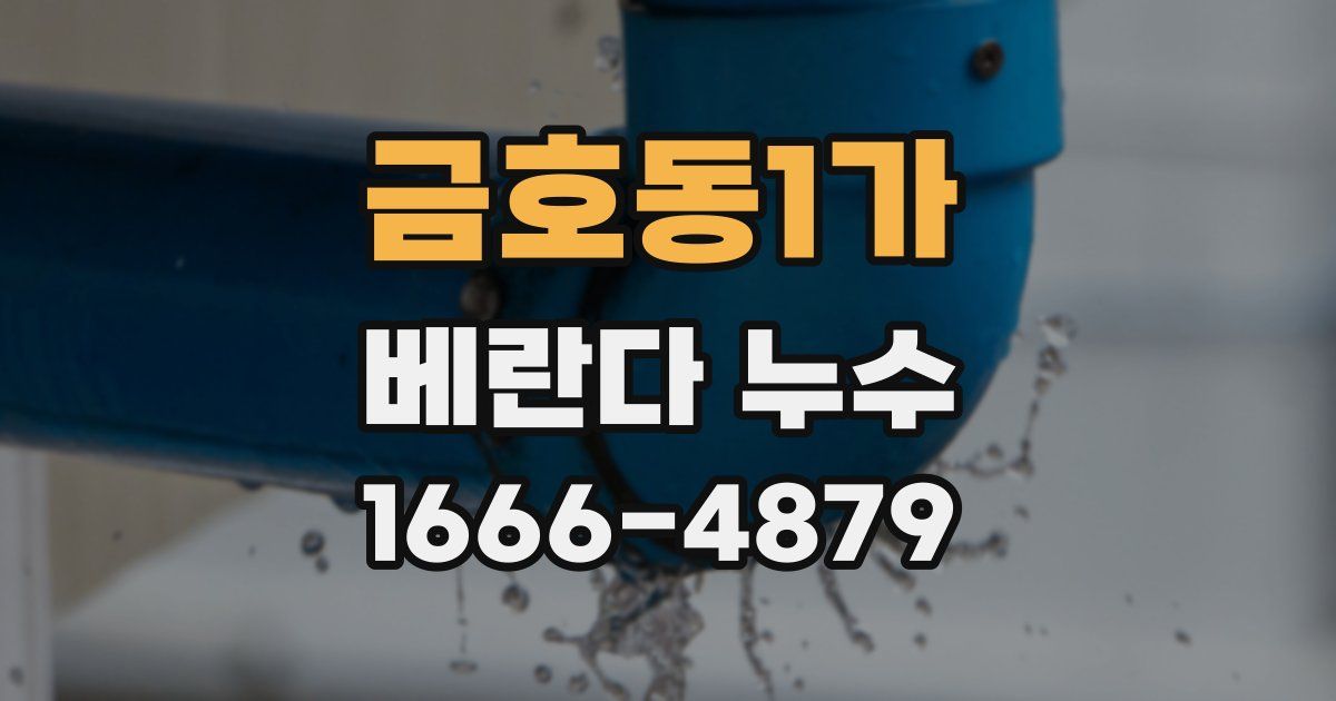 금호동1가 베란다 누수