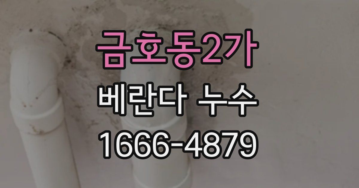 금호동2가 베란다 누수