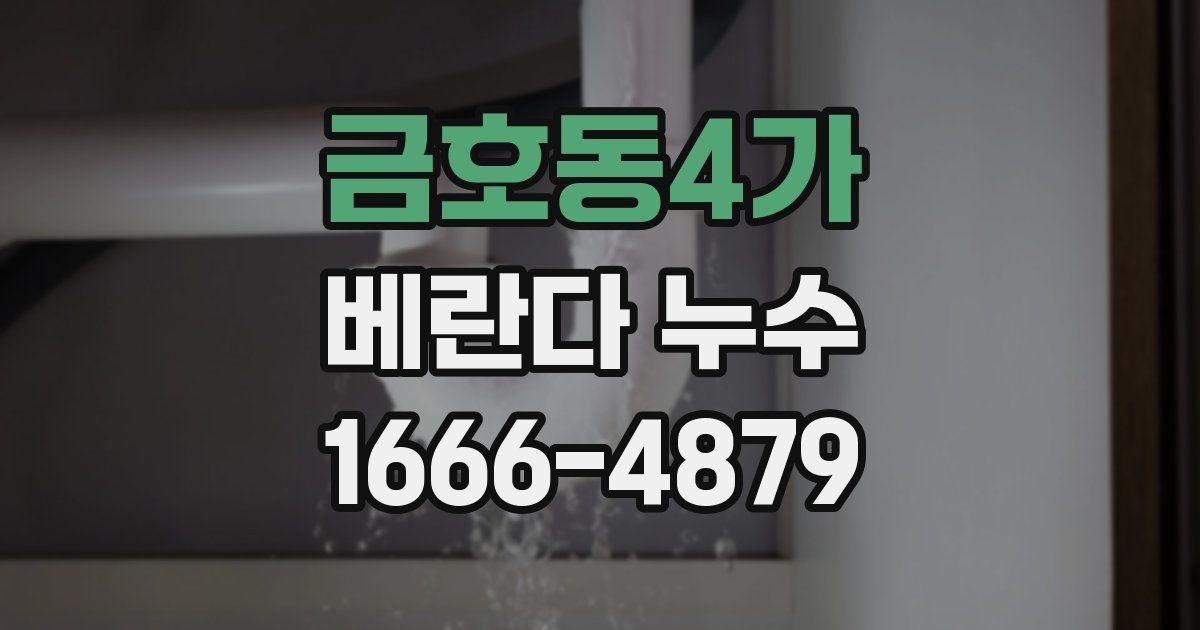 금호동4가 베란다 누수