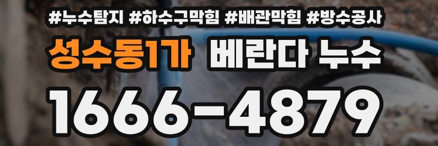 성수동1가 베란다 누수