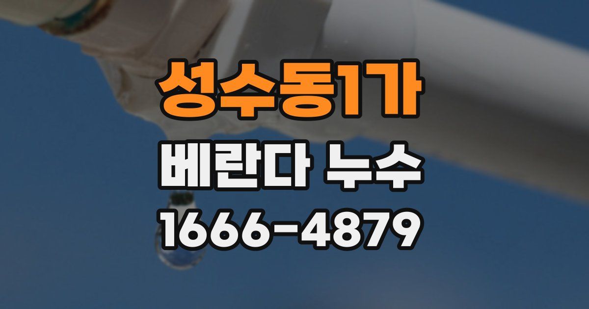 성수동1가 베란다 누수