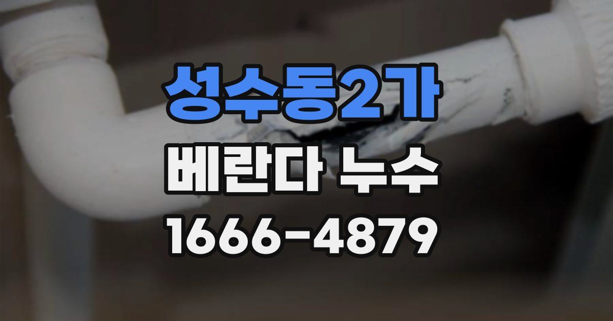 성수동2가 베란다 누수