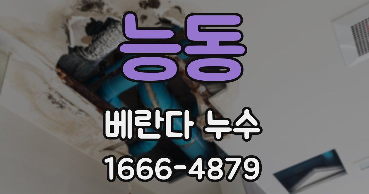 능동 베란다 누수