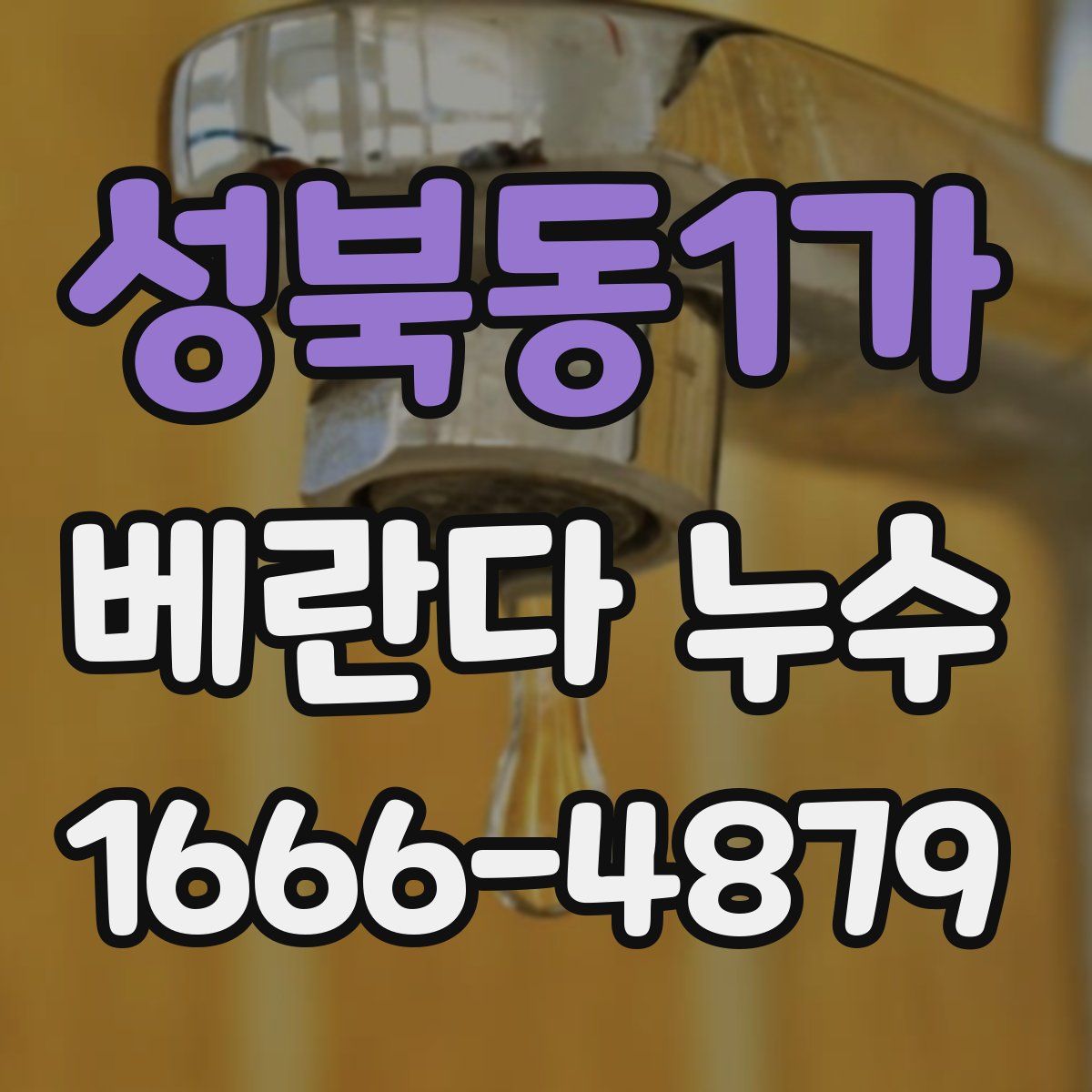성북동1가 베란다 누수