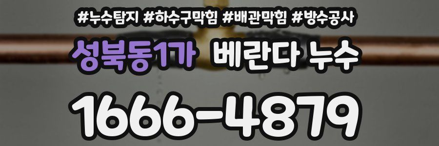 성북동1가 베란다 누수