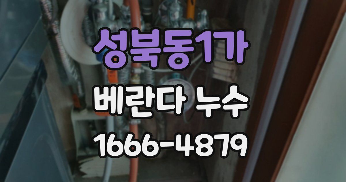 성북동1가 베란다 누수