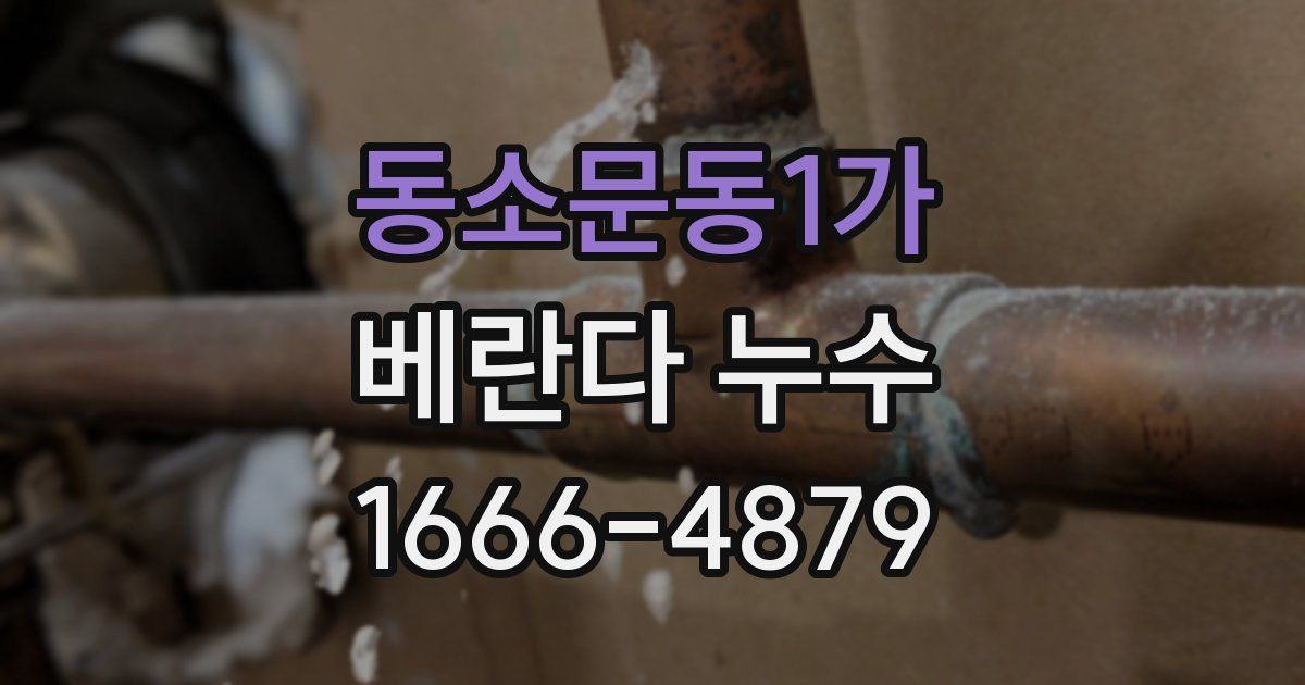 동소문동1가 베란다 누수