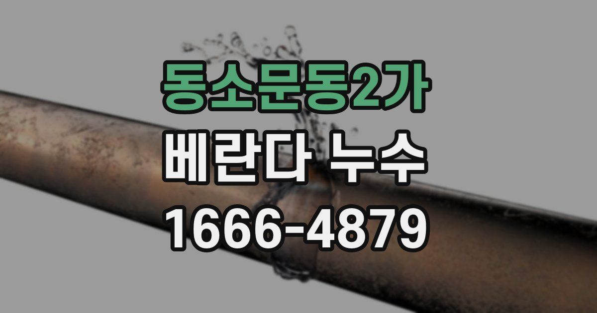 동소문동2가 베란다 누수