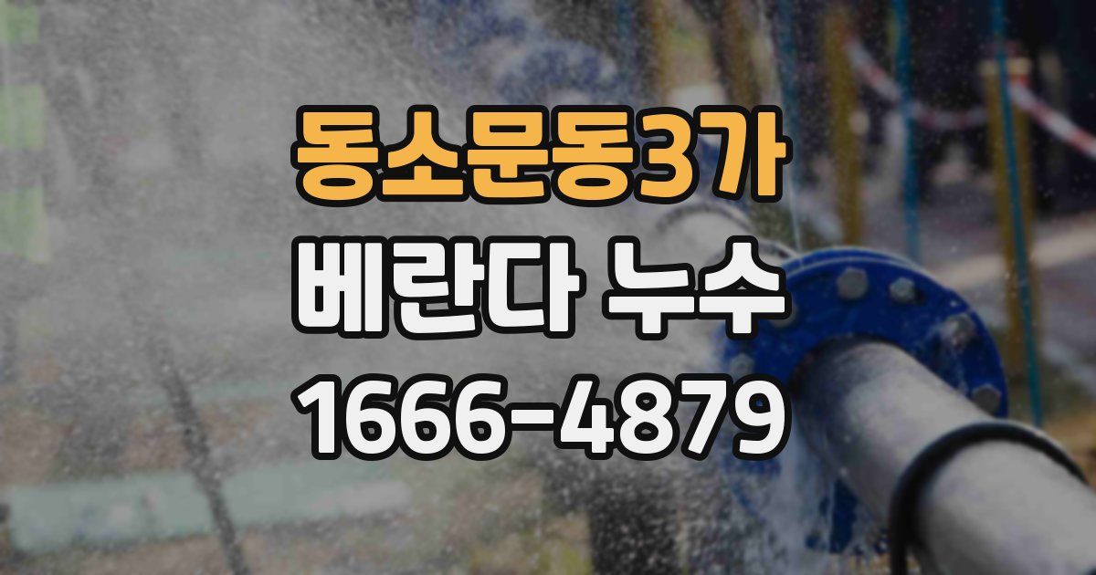 동소문동3가 베란다 누수