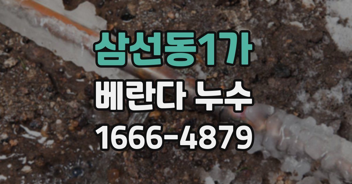 삼선동1가 베란다 누수