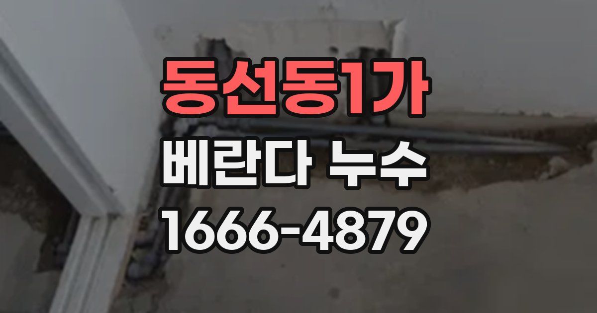동선동1가 베란다 누수