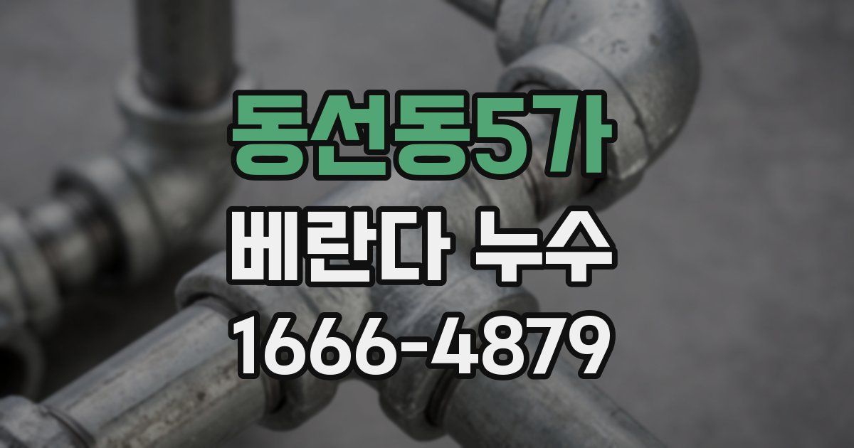 동선동5가 베란다 누수